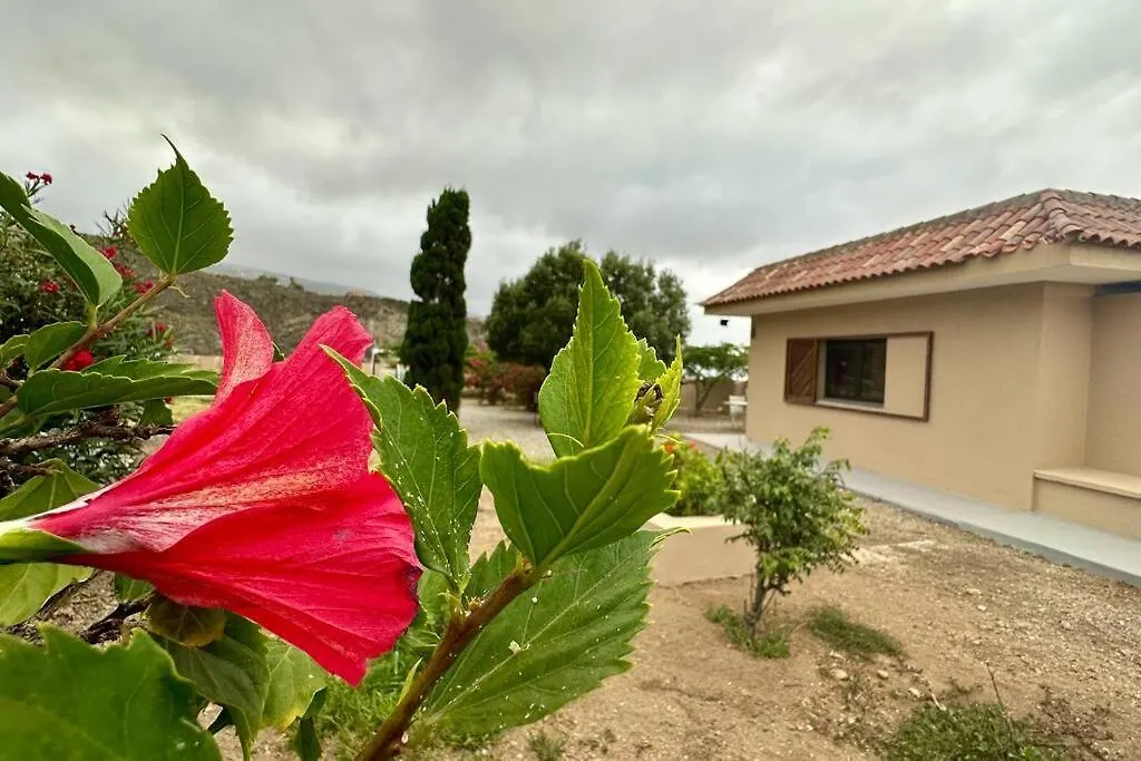 Peaceful Oasis With Magical Sea Views And A Pool Villa Santa Cruz de Tenerife