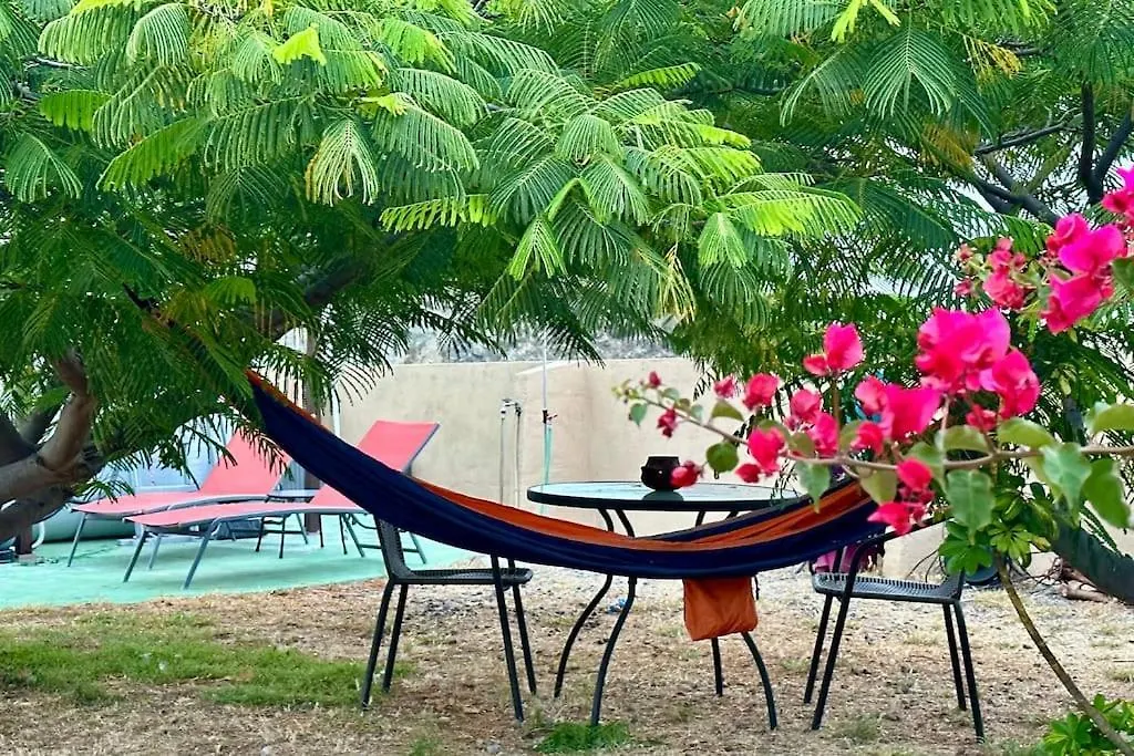 Peaceful Oasis With Magical Sea Views And A Pool Villa Santa Cruz de Tenerife Holiday home