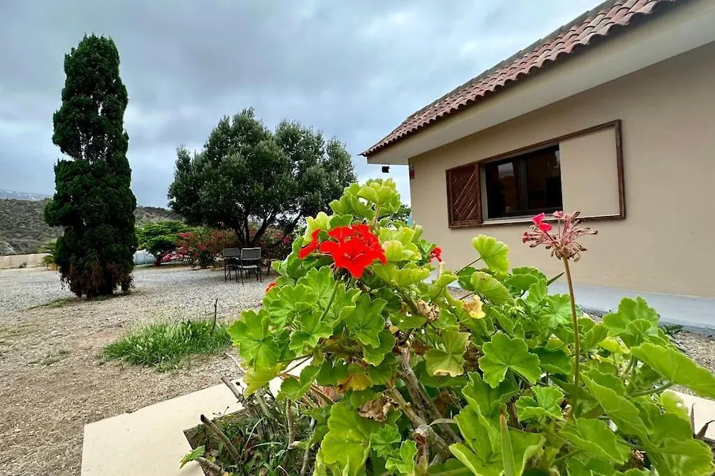Peaceful Oasis With Magical Sea Views And A Pool Villa Santa Cruz de Tenerife Holiday home